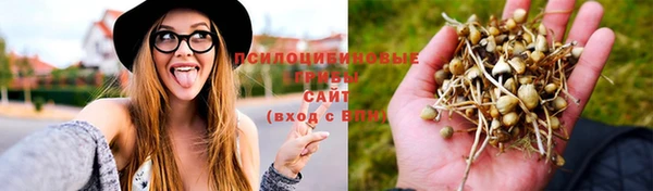 mdpv Абаза
