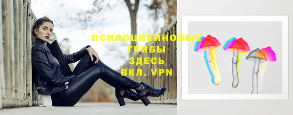 МДПВ Абинск