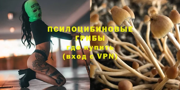 МДПВ Абинск