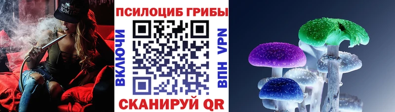 Галлюциногенные грибы Psilocybine cubensis  Советский 